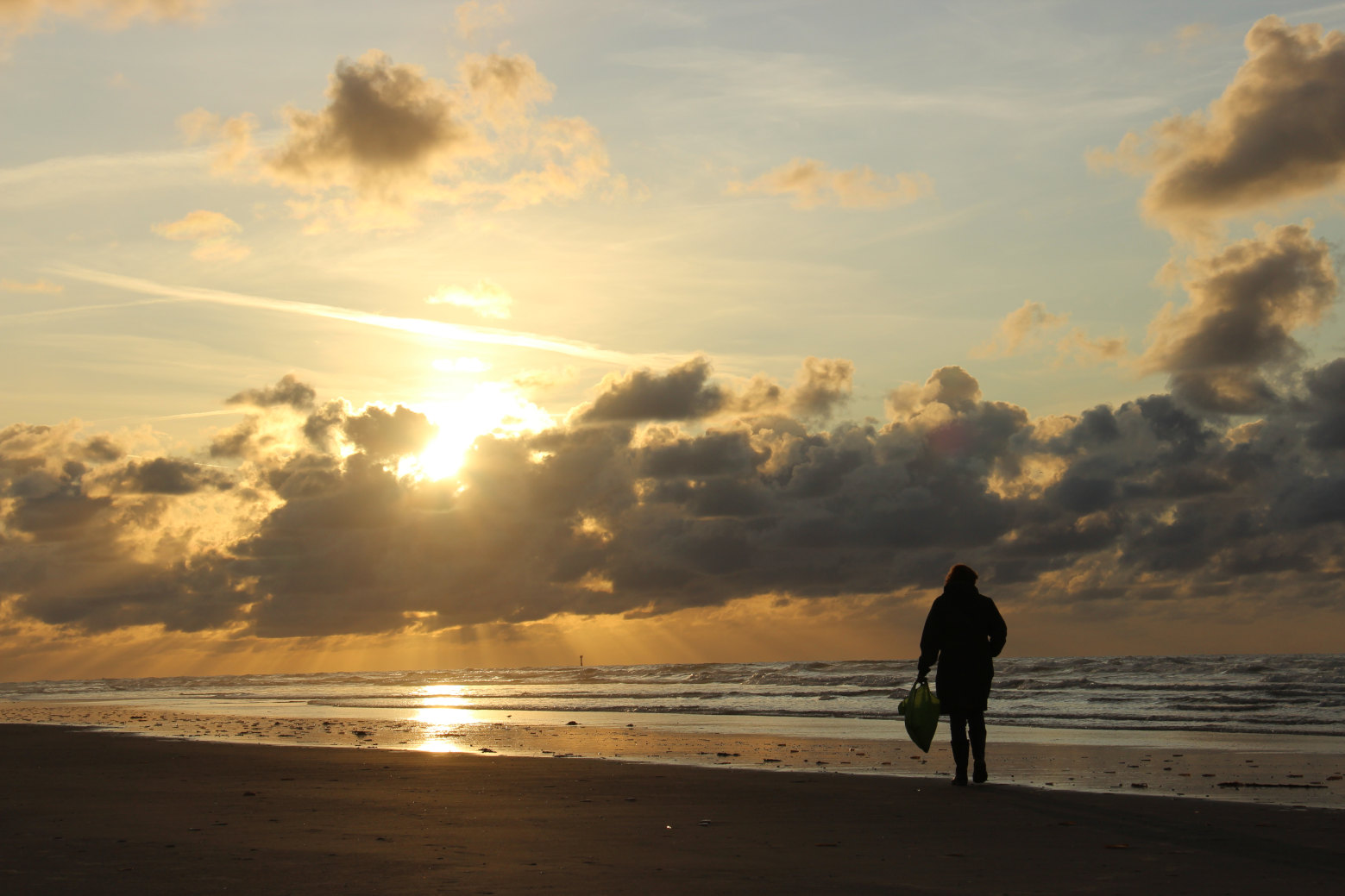 Unieke combinaties van strandvondsten en vilt